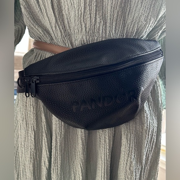 Pandora Handbags - Pandora | Pebbled Faux Leather Belt Bag
